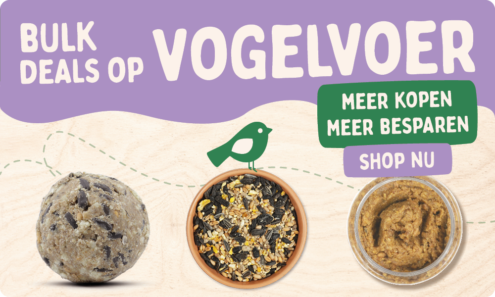 CD-2165_-_Nest_Box_Week_Banner_Sets_NL_BE_Homepage_Mobile_2