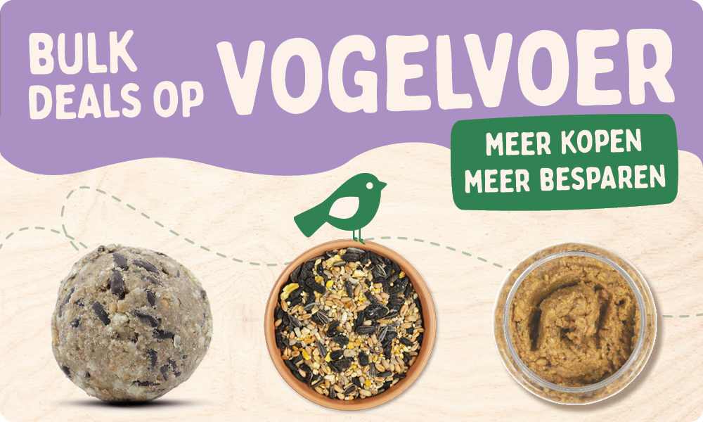 CD-2165_-_Nest_Box_Week_Banner_Sets_NL_BE_SHOP_NOW_REMOVED_Homepage_Mobile