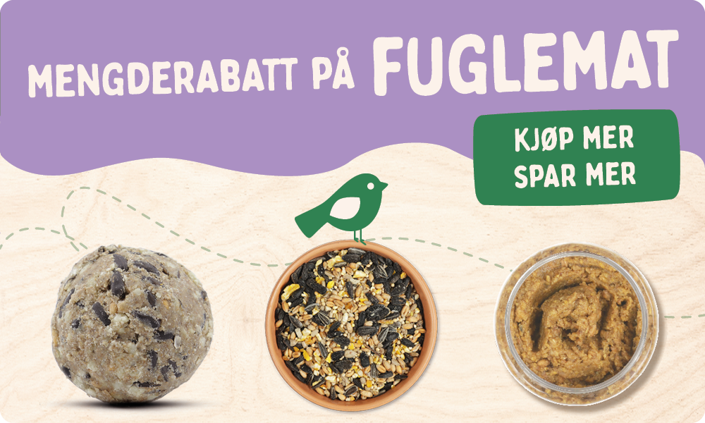 CD-2165_-_Nest_Box_Week_Banner_Sets_NO_SHOP_NOW_REMOVED_Homepage_Mobile