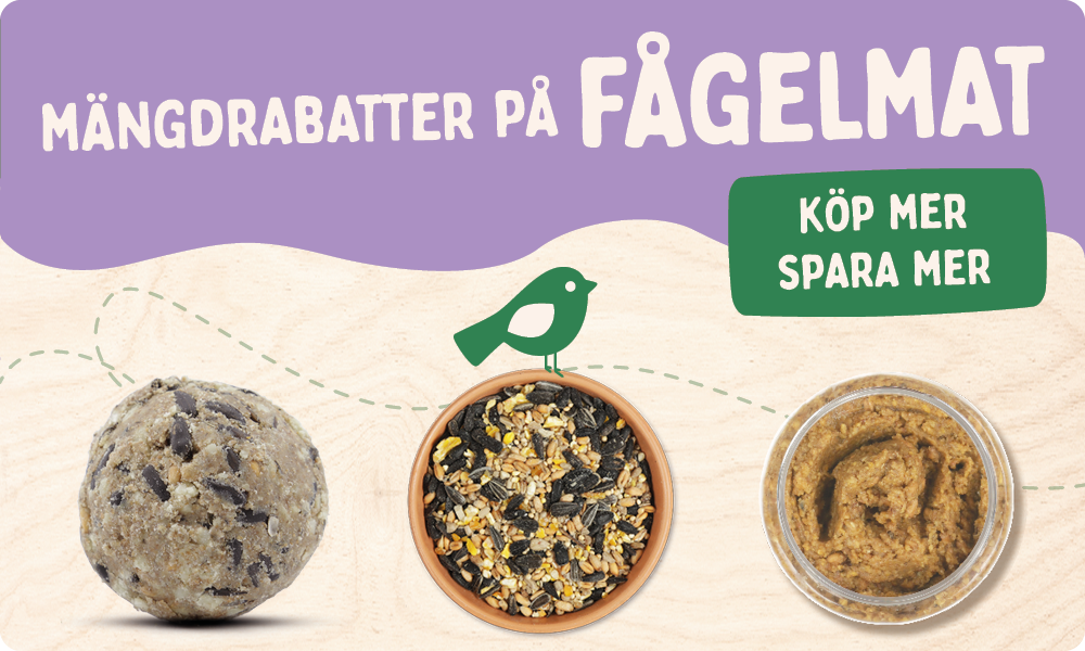 CD-2165_-_Nest_Box_Week_Banner_Sets_SE_SHOP_NOW_REMOVED_Homepage_Mobile