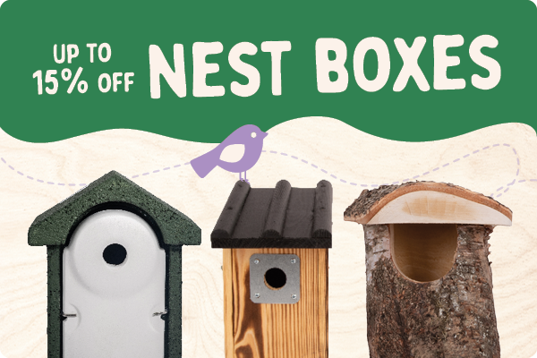 CD-2165_-_Nest_Box_Week_Banner_Sets_UK_IE_Landingpage_Mobile