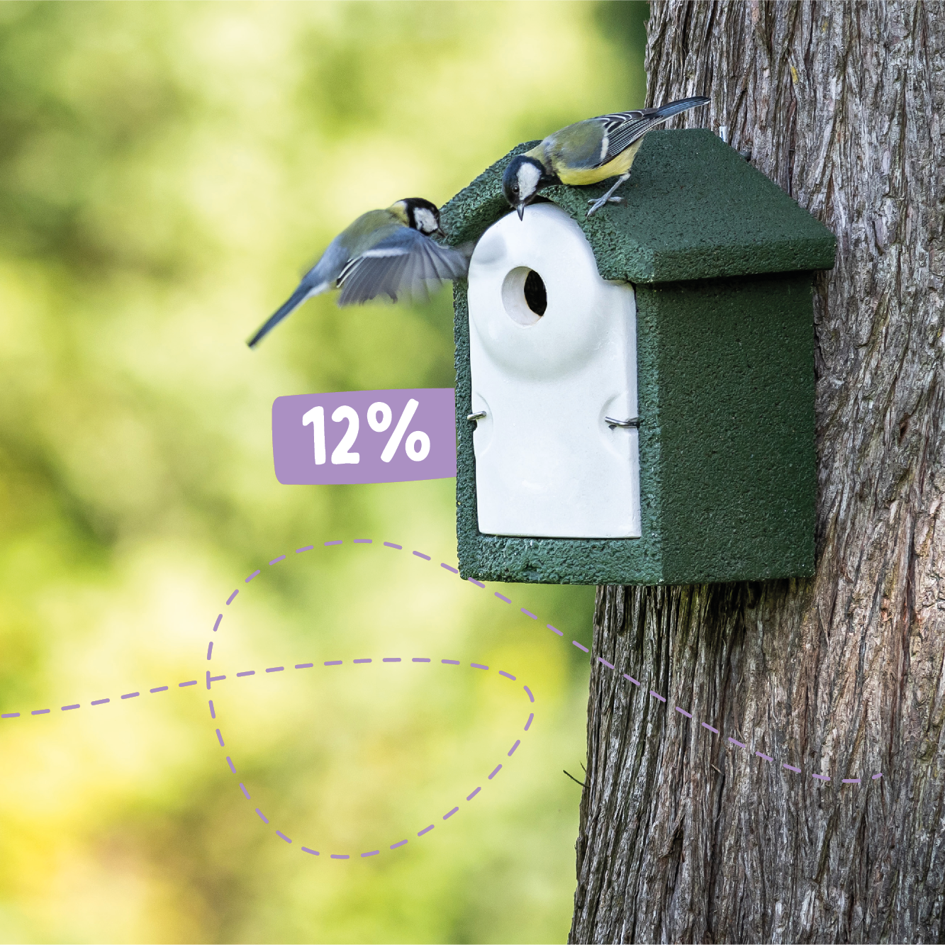 CD-2166_-_Week_of_the_Nest_Box_Landingpage_Images3