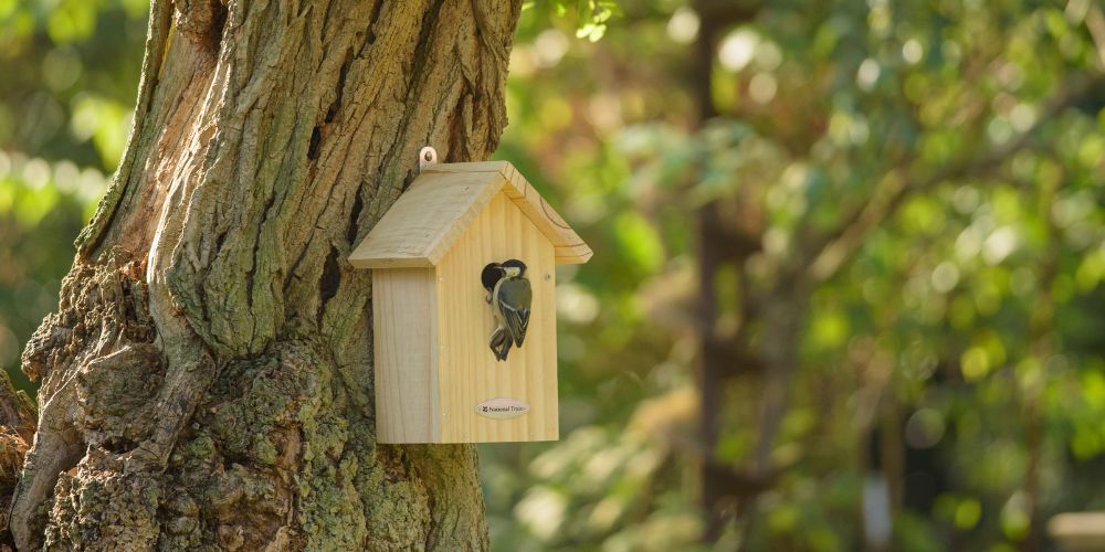 Nest box guide desktop - 1