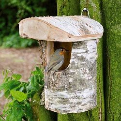 Robin_Nest_Box