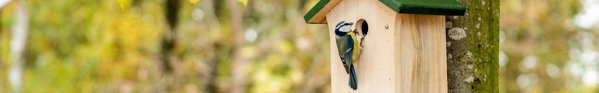 national_nest_box_week_desktop - 1