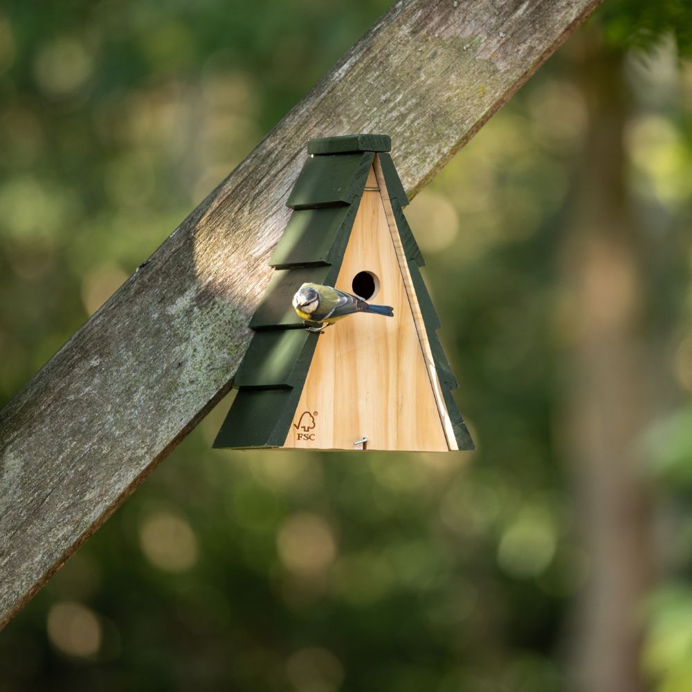 nest_box_week - 1