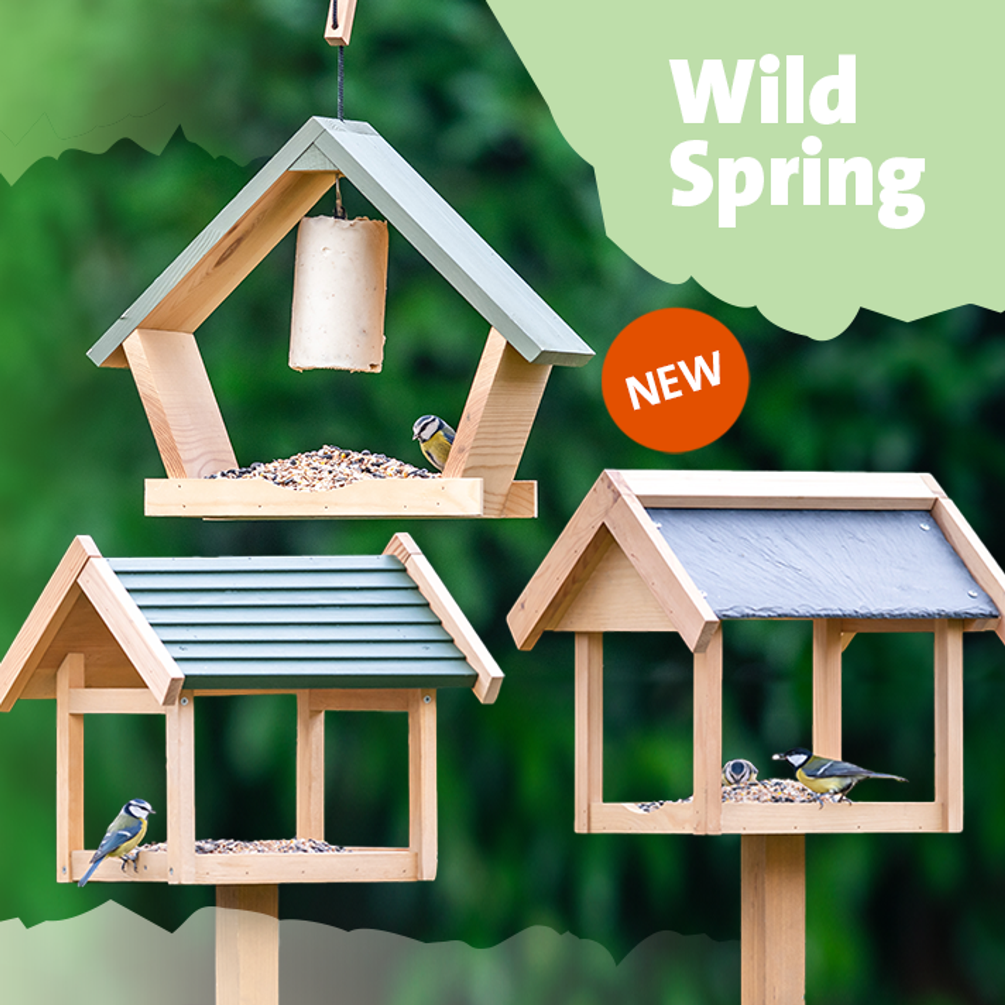 New-product-launch-mobile