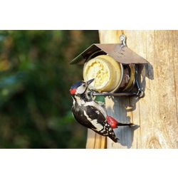 pindakaas_met_specht