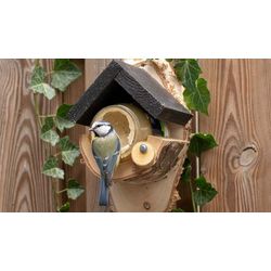 vogelpindakaas_met_pimpelmees