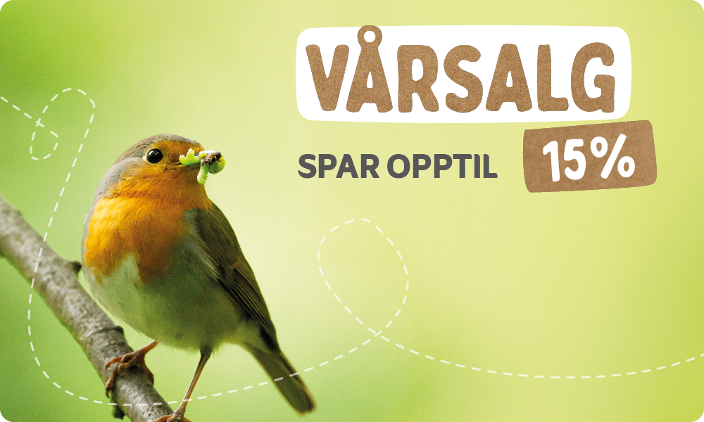 CD-2179_-_Spring_Sale_Banner_Sets_1_-_AB_testing_NO_Landingpage_Mobile