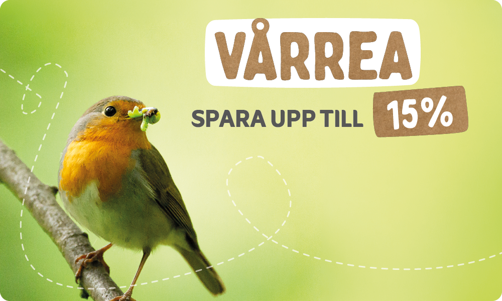 CD-2179_-_Spring_Sale_Banner_Sets_1_-_AB_testing_SE_Landingpage_Mobile