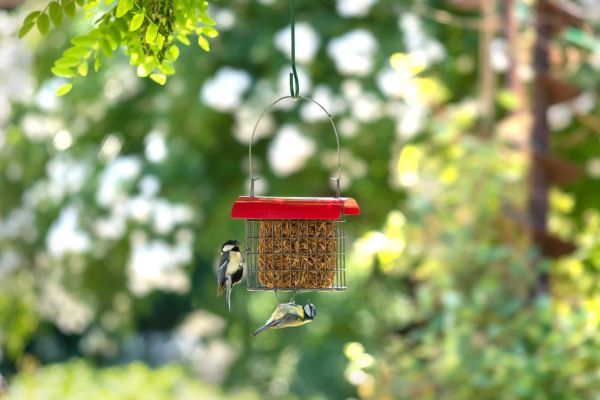 prepare_for_spring - 1