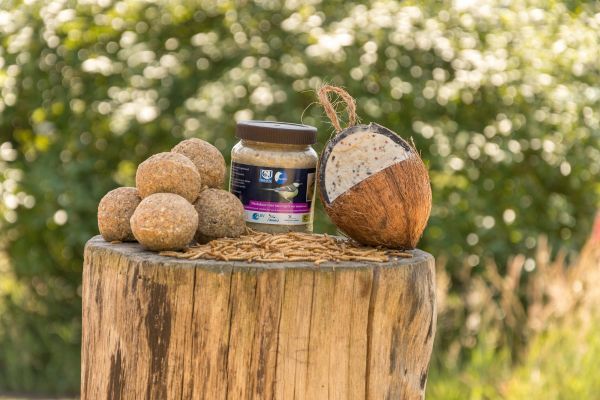 prepare_for_spring - 1