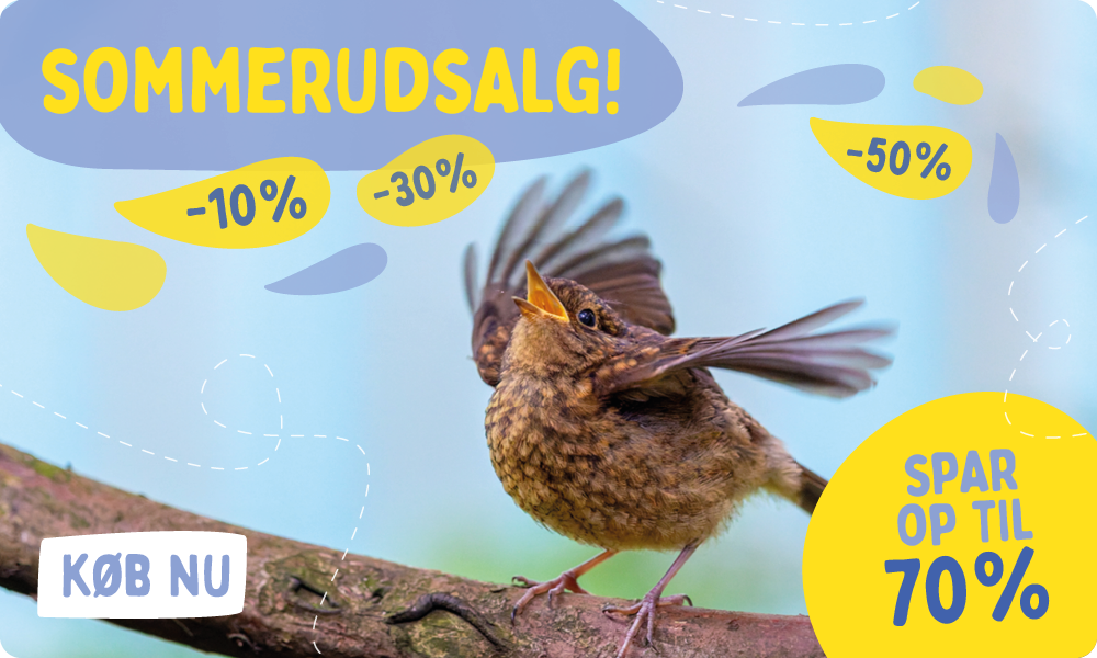 Summer_Sale_Banner_July_DK_Homepage
