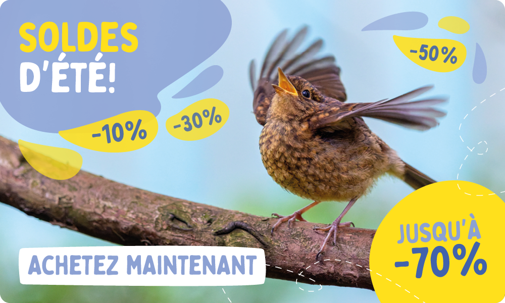 Summer_Sale_Banner_July_FR_BE_Homepage