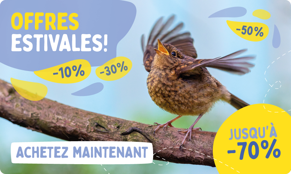 Summer_Sale_Banner_July_FR_Homepage