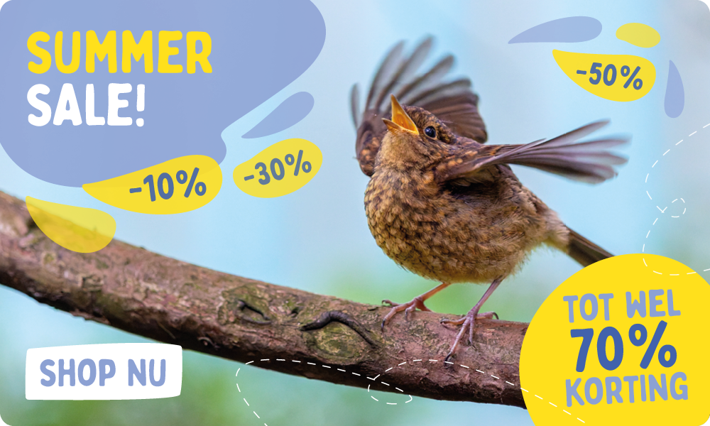 Summer_Sale_Banner_July_NL_Homepage
