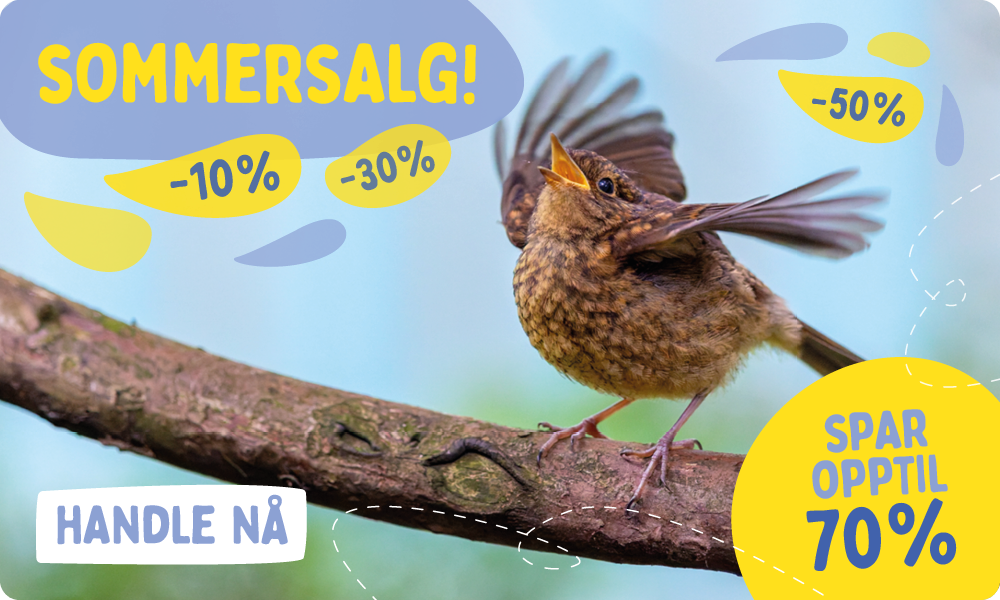 Summer_Sale_Banner_July_NO_Homepage