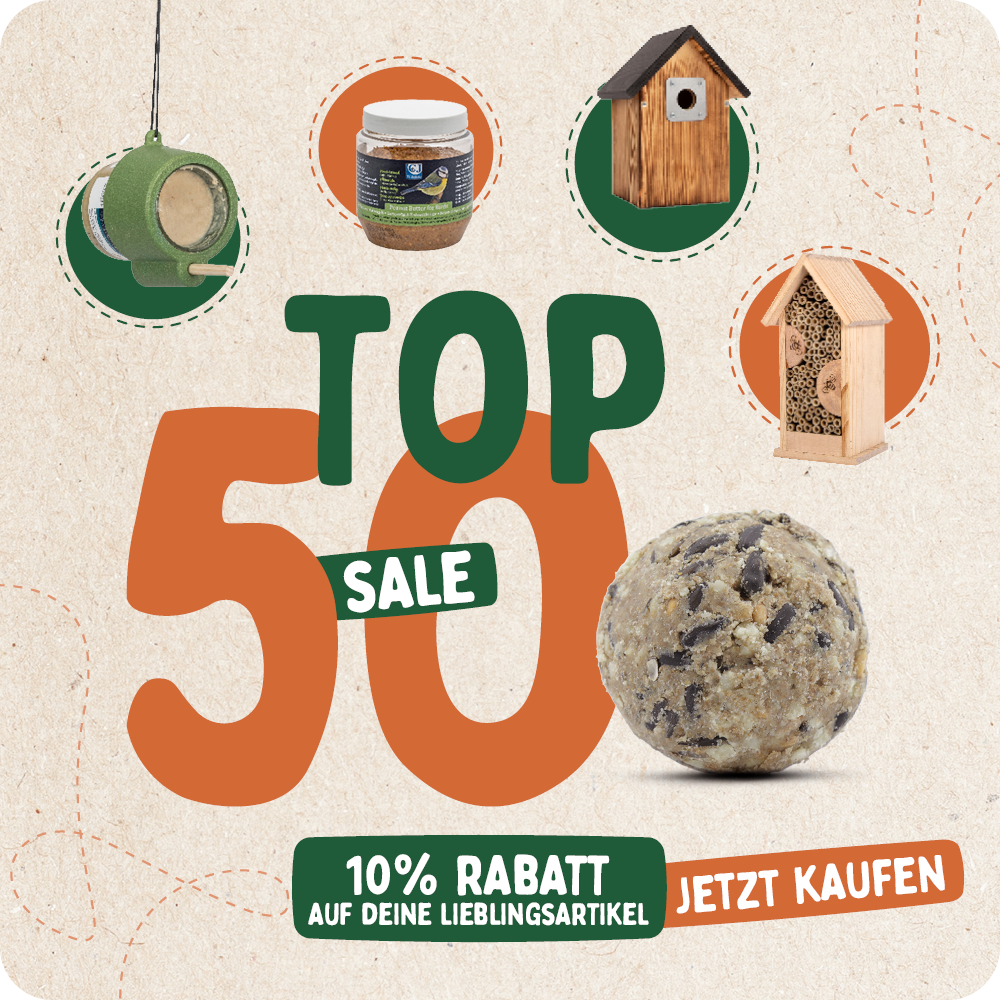 CD-2136_-_Top_50_banners_DE_AT_Homepage_Mobile