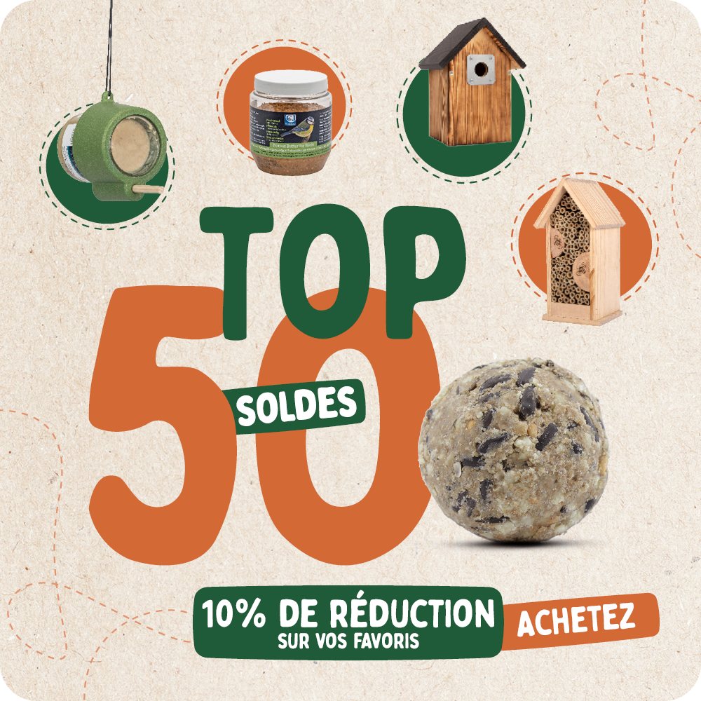 CD-2136_-_Top_50_banners_FR_BE_Homepage_Mobile