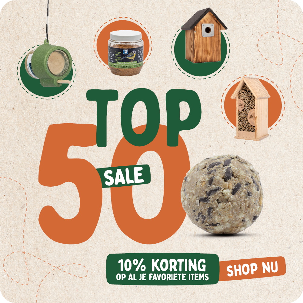 CD-2136_-_Top_50_banners_NL_BE_Homepage_Mobile