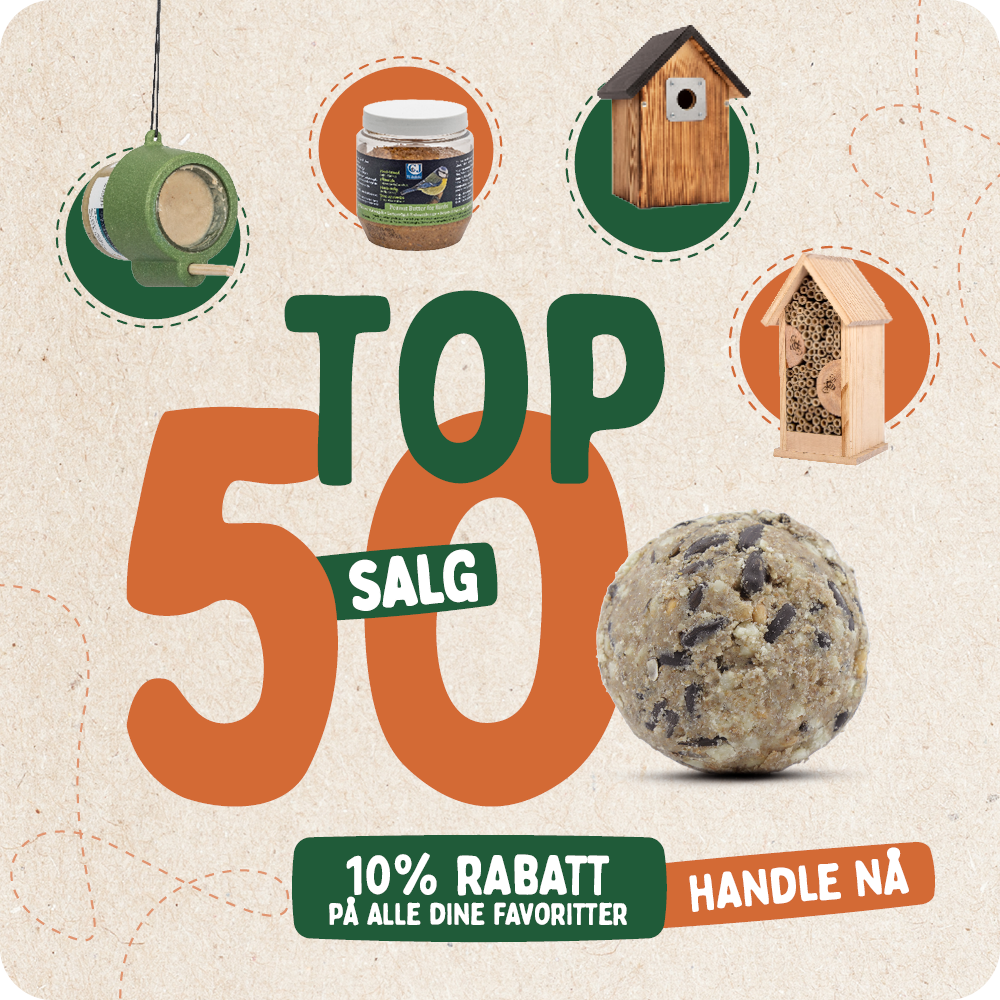 CD-2136_-_Top_50_banners_NO_Homepage_Mobile