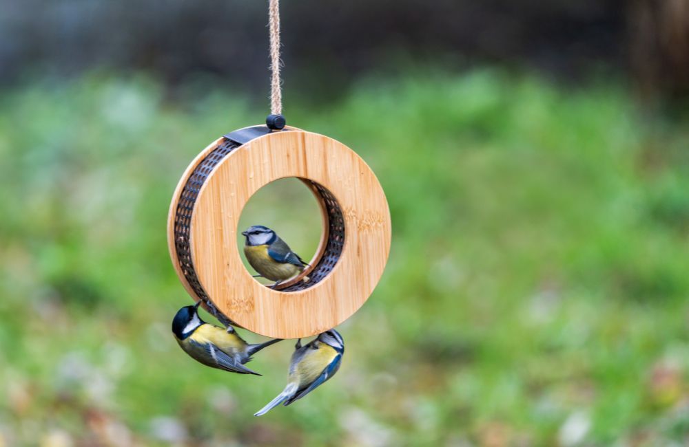 kyoto_new_product - 1