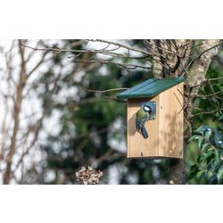 907190619-Seattle_Nestbox_with_predator_protection-RTB-Y3A6555_1_