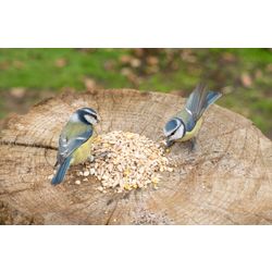 Hi-Energy_No_Mess_Bird_Seed_Mix