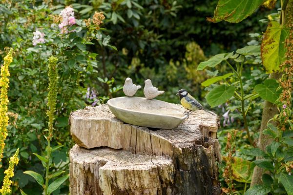 protector_nest_box_range - 1