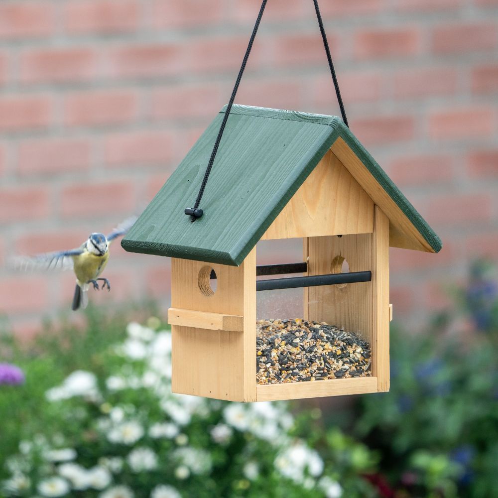Bird Feeder - 1