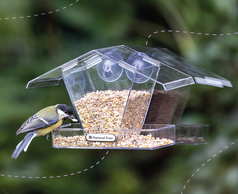 CD-2190_-_National_Trust_image_for_the_homepage_UK_4