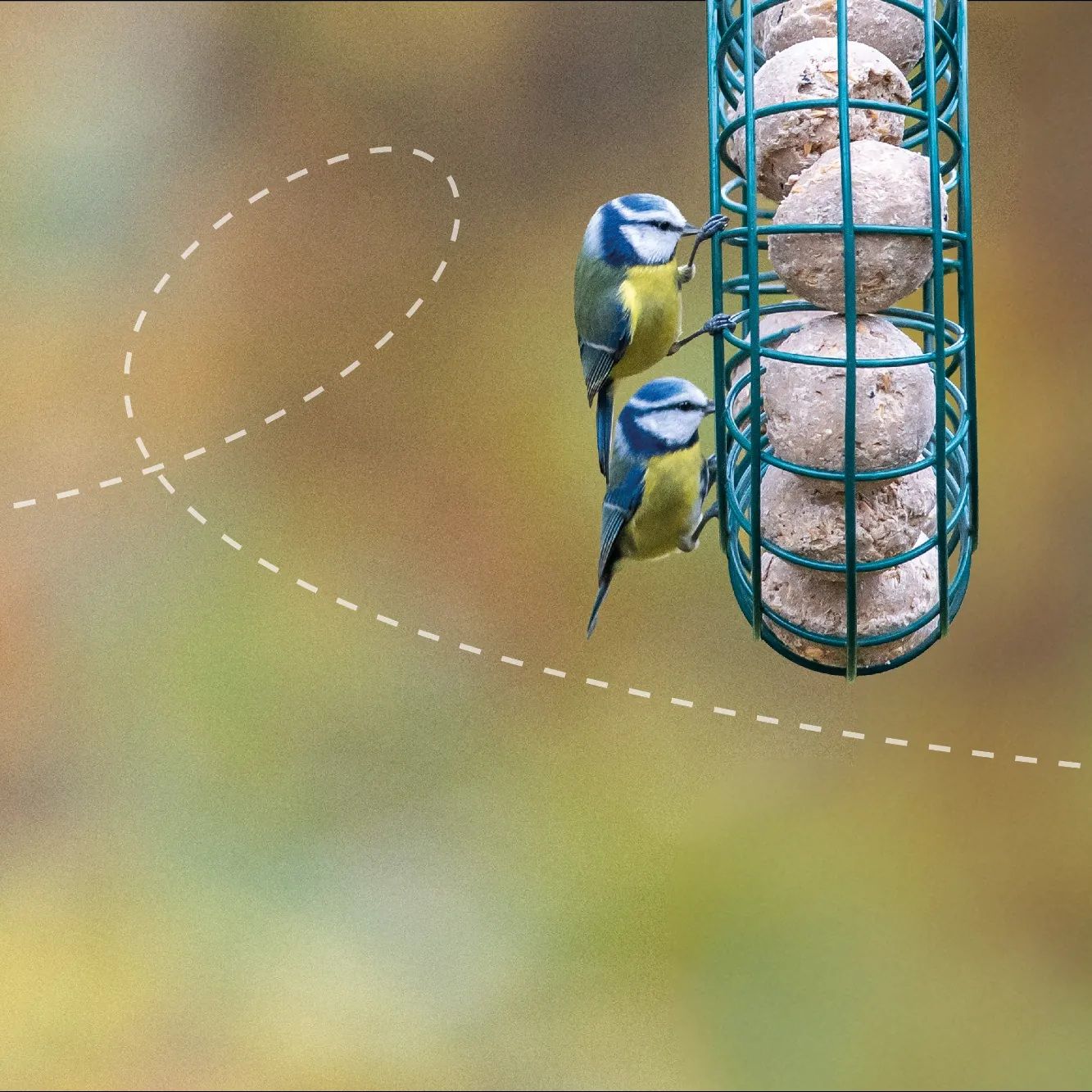 Homepage_Banners_v2_-_2