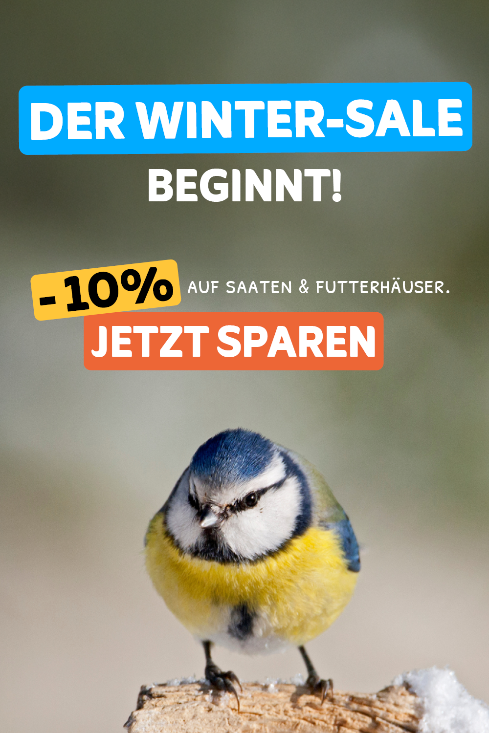 Stunde der Wintervögel