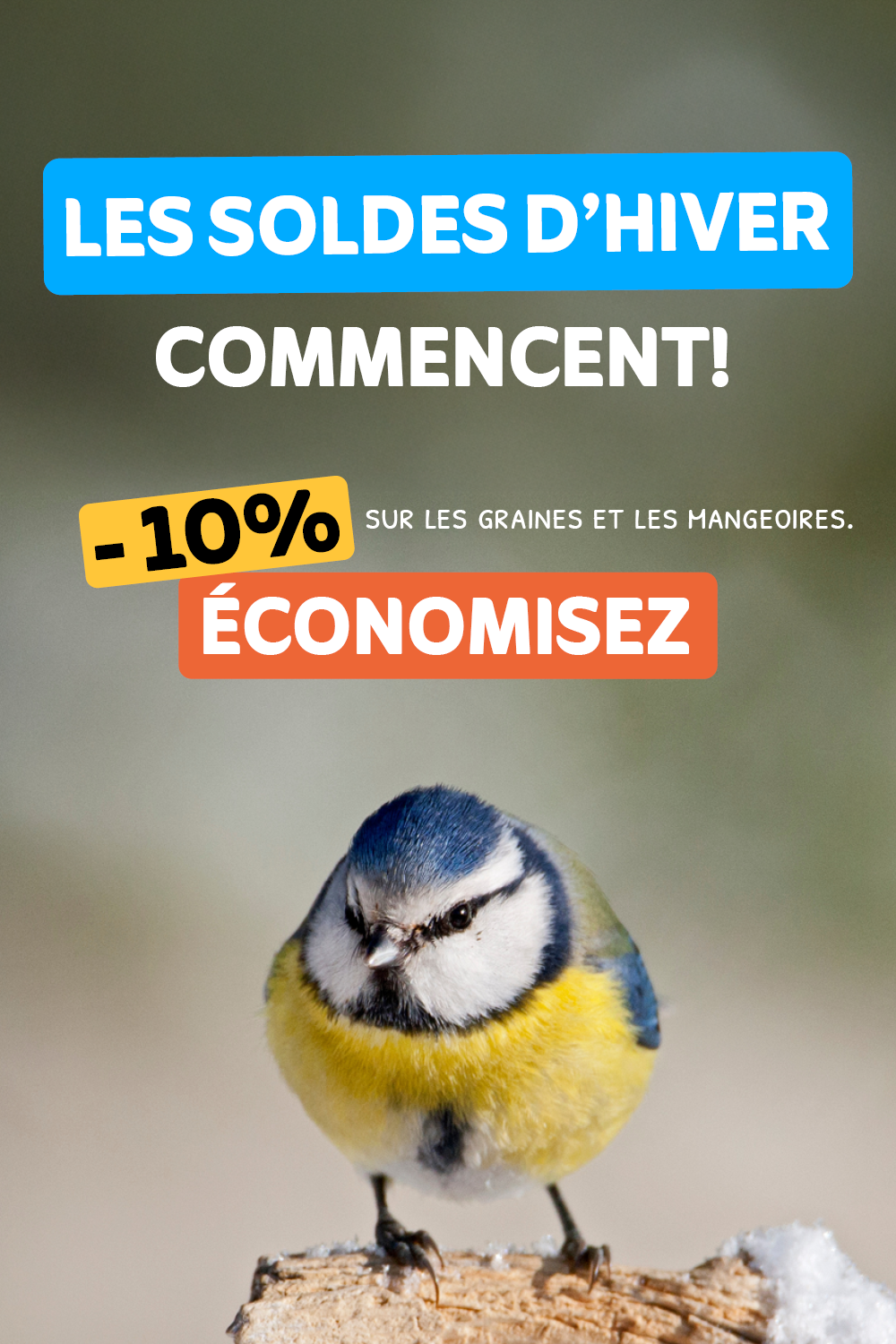 Soldes d'hiver