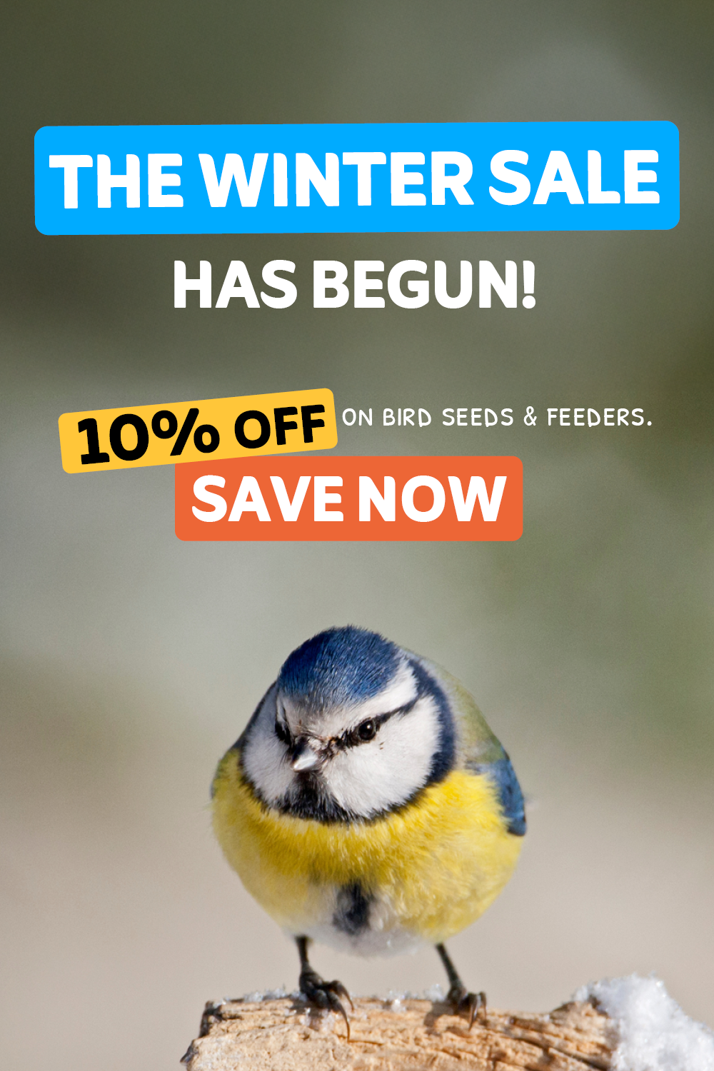 Winter Sale