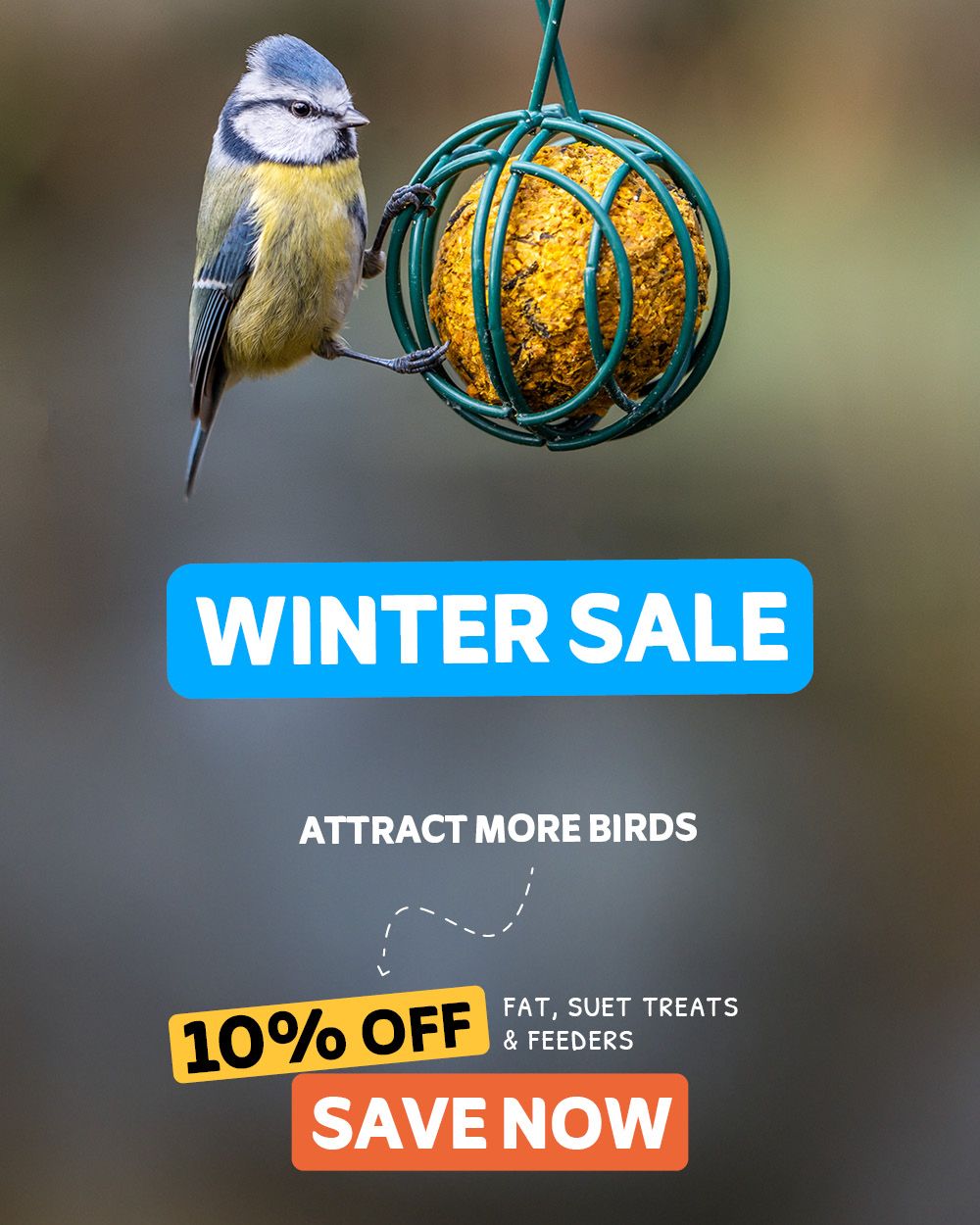 CD-2097_-_January_Campaign_Banners_IE_Homepage_Mobile