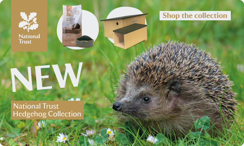 CD-2230_-_New_NT_Hedgehog_Collection_Banners_Homepage_Desktop_Mobile_NT_Branded_V2