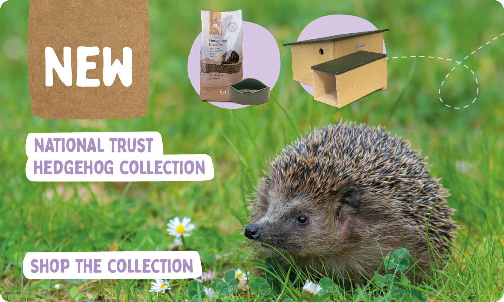 CD-2230_-_New_NT_Hedgehog_Collection_Banners_Homepage_V3