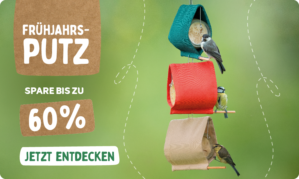 CD-2240_-_Spring_Clean_Banner_DE_AT_Homepage_Desktop_Mobile
