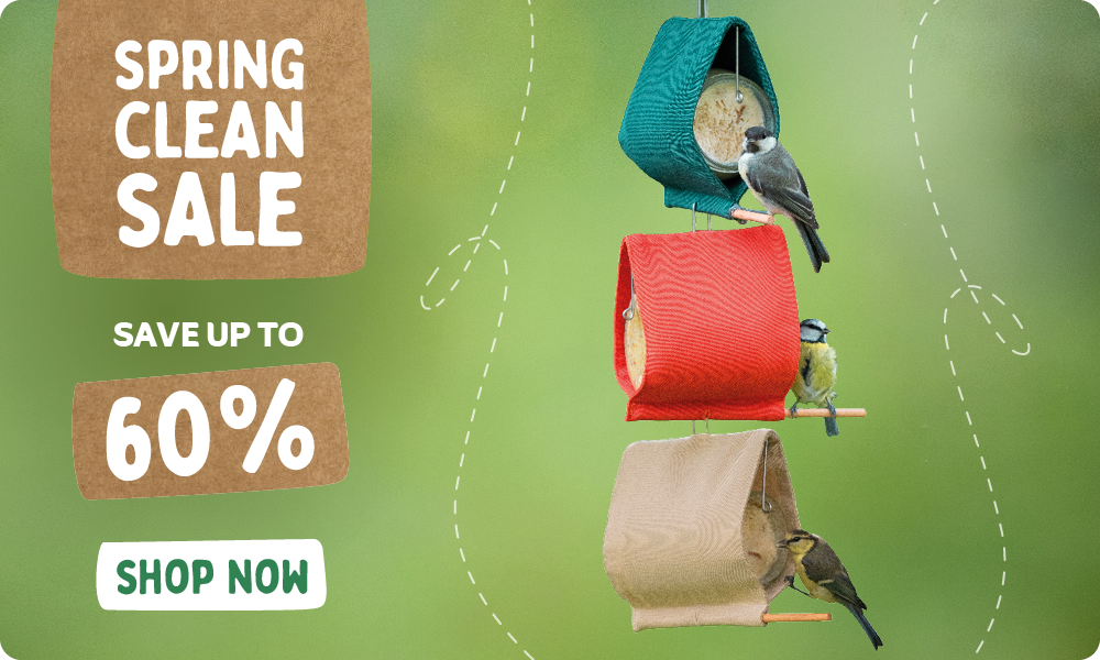 CD-2240_-_Spring_Clean_Banner_UK_IE_Homepage_Desktop_Mobile