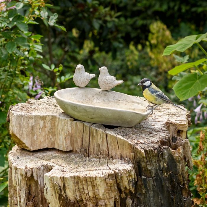 Bird Baths