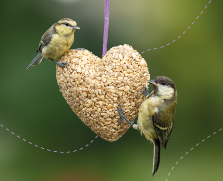 Twee vogeltjes op een hart gemaakt van vogelvoer