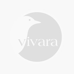 homepage_aboutvivara