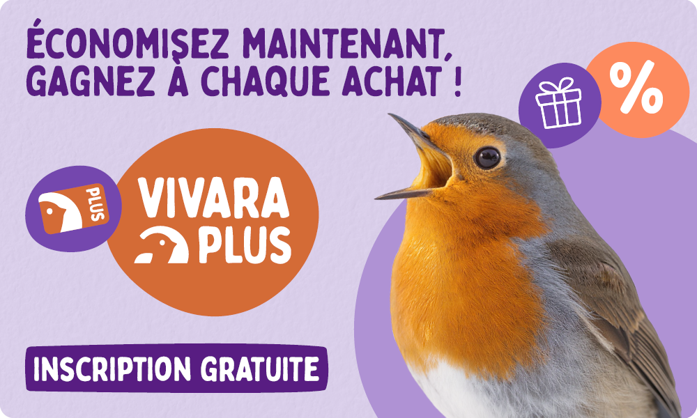 Loyalty_Program_FR_Homepage_Desktop