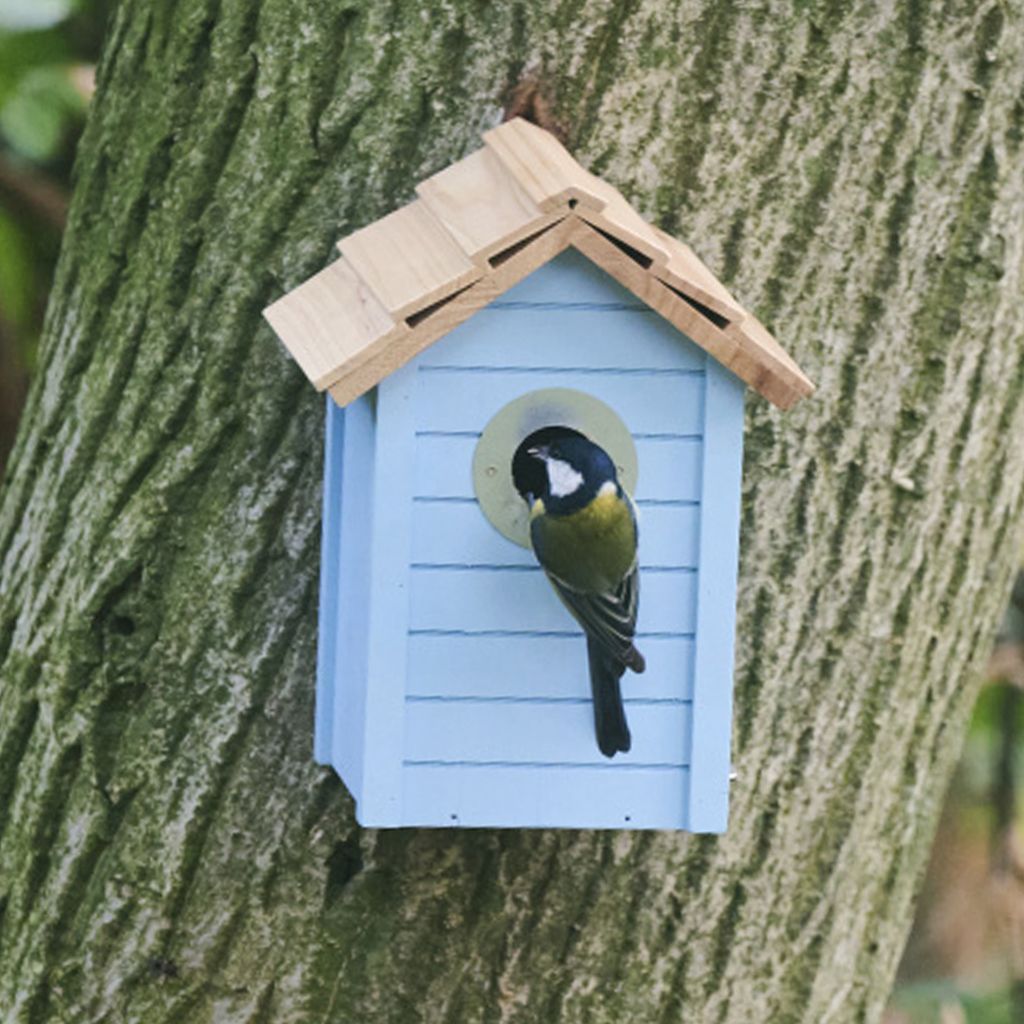 900150119_CJ_Beach_Nest_Box_-_light_blue_JD_15-2