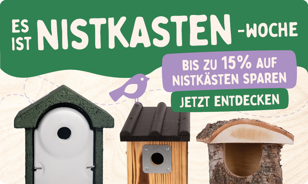 CD-2165_-_Nest_Box_Week_Banner_Sets_DE_AT_Homepage_Mobile_1
