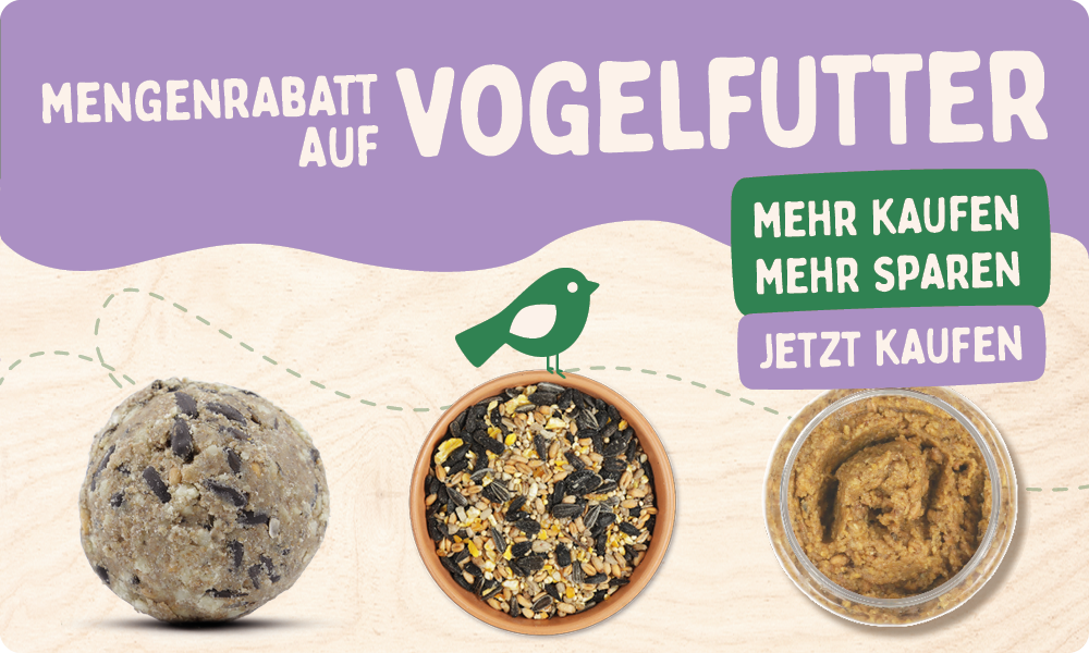 CD-2165_-_Nest_Box_Week_Banner_Sets_DE_AT_Homepage_Mobile_2