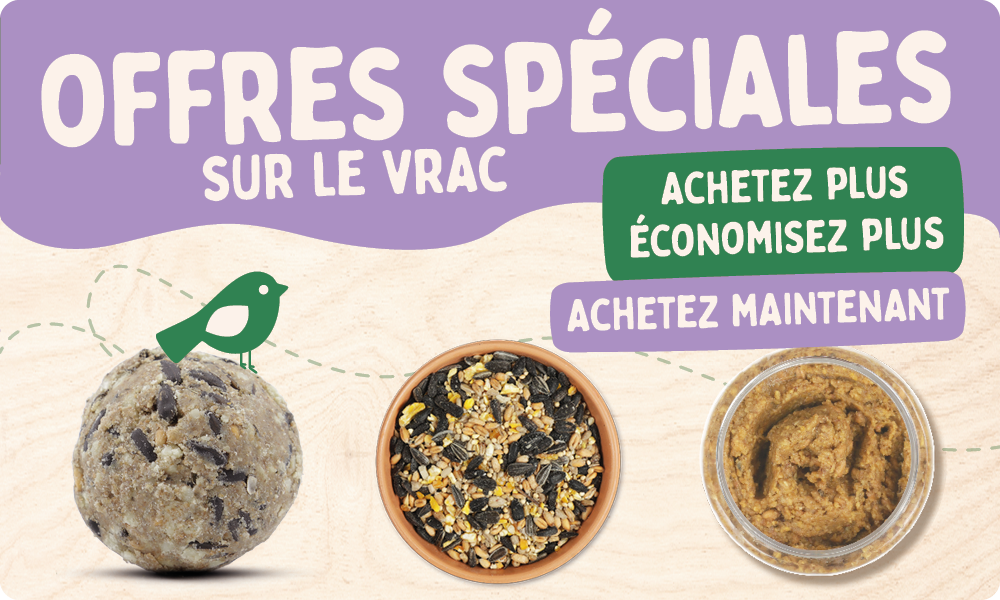 CD-2165_-_Nest_Box_Week_Banner_Sets_FR_BE_Homepage_Mobile_2