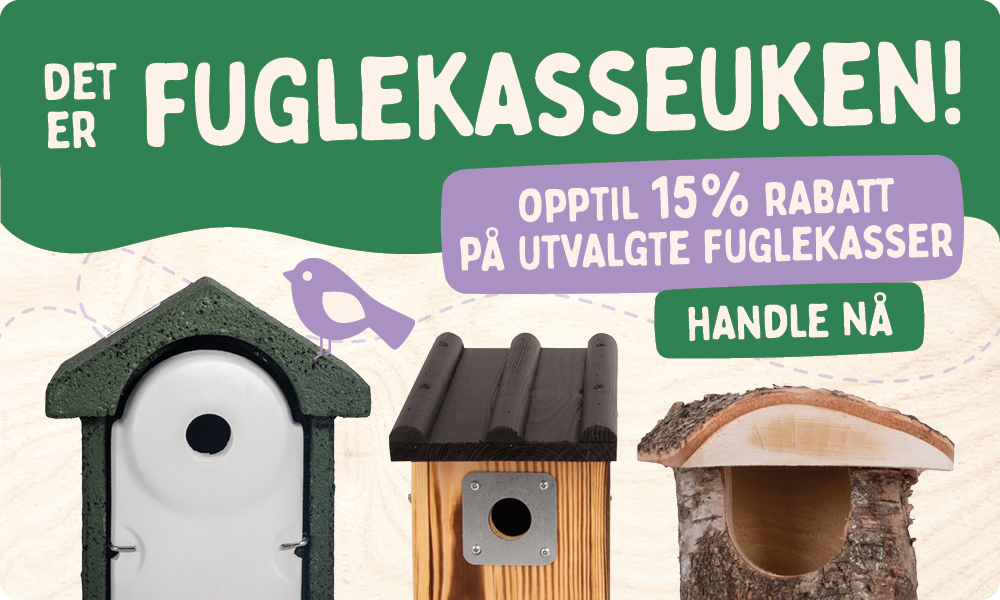 CD-2165_-_Nest_Box_Week_Banner_Sets_NO_Homepage_Mobile_1